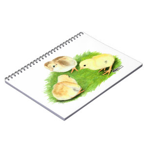 Aseel Wheaten Chicks Notebook