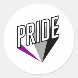 Asexual Pride Burst Classic Round Sticker