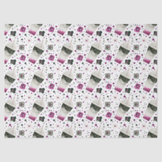 Asexual Pride Tissue Paper
