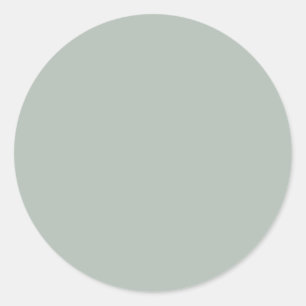 Ash grey (solid colour) classic round sticker
