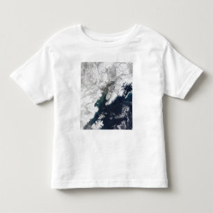 Ash plume from Mount Redoubt, Alaska Toddler T-shirt