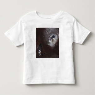 Ash stains on Russia's Shiveluch volcanoï¿ Toddler T-shirt