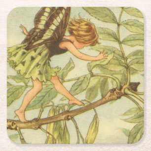 Ash Tree Fairy Walking on Branch Square Paper Coaster
