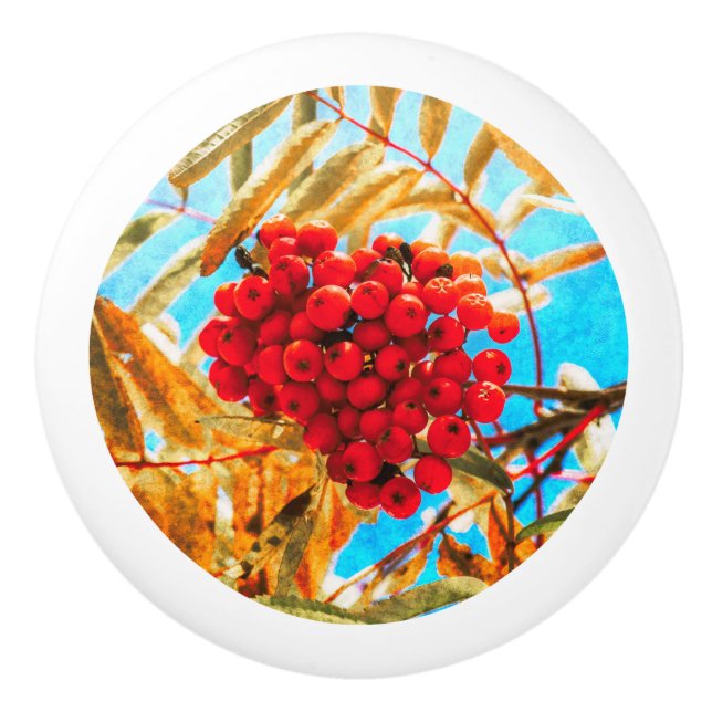 Ashberry artistic ceramic knob (Front)