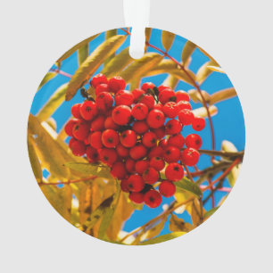 Ashberry Ornament