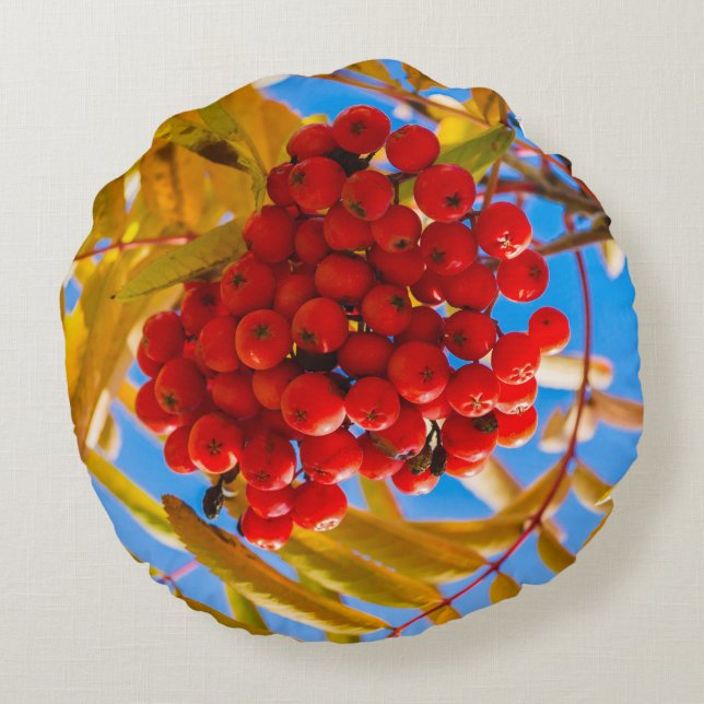 Ashberry Round Pillow (Back)