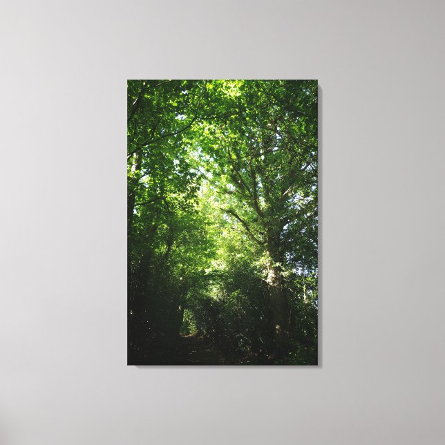 Ashdown Forest Winnie The Pooh Woodland Walk Canvas Print (Front)