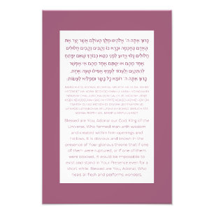 Asher Yatzar Hebrew Blessing Dusty Pink Photo Print