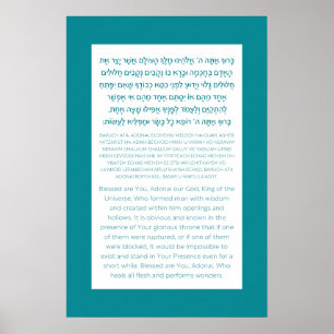 Asher Yatzar Hebrew Blessing Turquoise  Poster