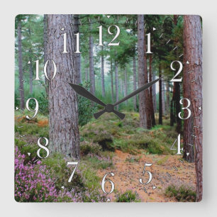Ashley Heath Woodland Hampshire, England Square Wall Clock