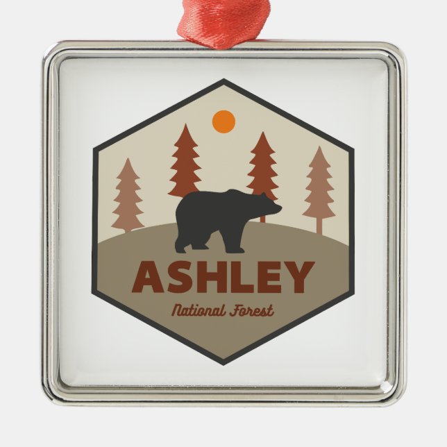 Ashley National Forest Bear Metal Ornament (Front)