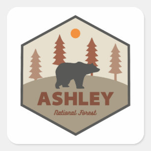 Ashley National Forest Bear Square Sticker