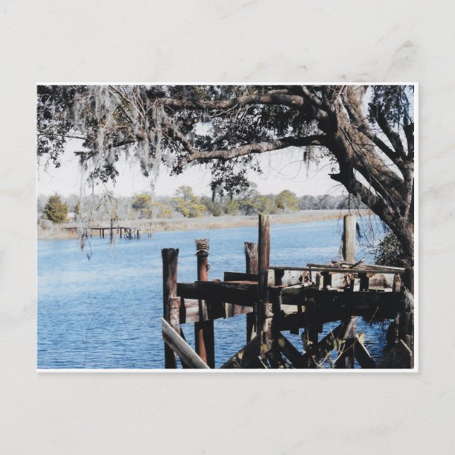 Ashley River Charleston Postcard (Front)