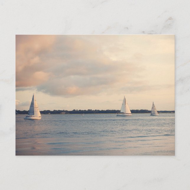 Ashley River Yachts Postcard (Front)