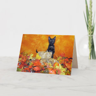 Ashlynn's Fall / Thanksgiving Card - Cute Cat Pic
