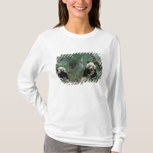 Asia, China, Chengdu. Giant Panda Sanctuary T-Shirt