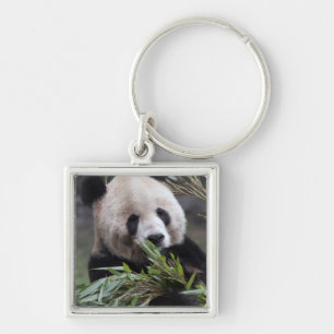 Asia, China Chongqing. Giant Panda Keychain