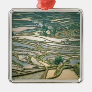 Asia, China. Flooded rice terraces near Nano Metal Ornament