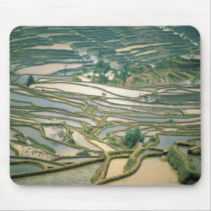 Asia, China. Flooded rice terraces near Nano Mouse Pad