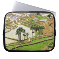 Asia, China, Yunnan, Honghe. Rice terraces near