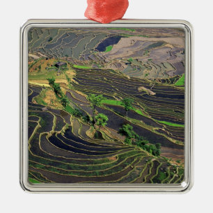 Asia, China, Yunnan, Honghe. Rice Terraces near Metal Ornament