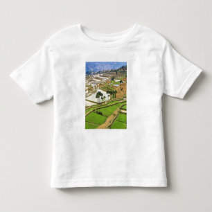 Asia, China, Yunnan, Honghe. Rice terraces near Toddler T-shirt