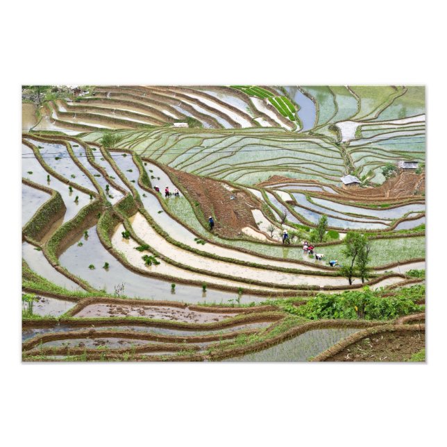 Asia, China, Yunnan, Jinping. Native Yi people Photo Print (Front)