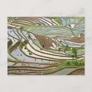 Asia, China, Yunnan, Jinping. Native Yi people Postcard