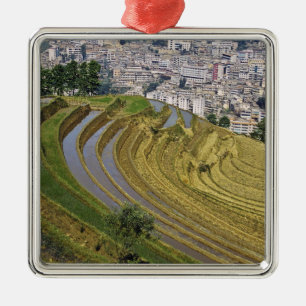 Asia, China, Yunnan Province, Jinping. Jinping Metal Ornament