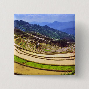 Asia, China, Yunnan Province, Yuanyang County. 2 Inch Square Button