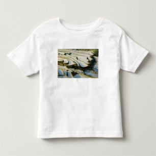 Asia, China, Yunnan Province, Yuanyang County. Toddler T-shirt