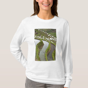Asia, China, Yunnan, Yuanyang. Flooded rice T-Shirt