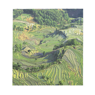 Asia, China, Yunnan, Yuanyang. Pattern of green Notepad