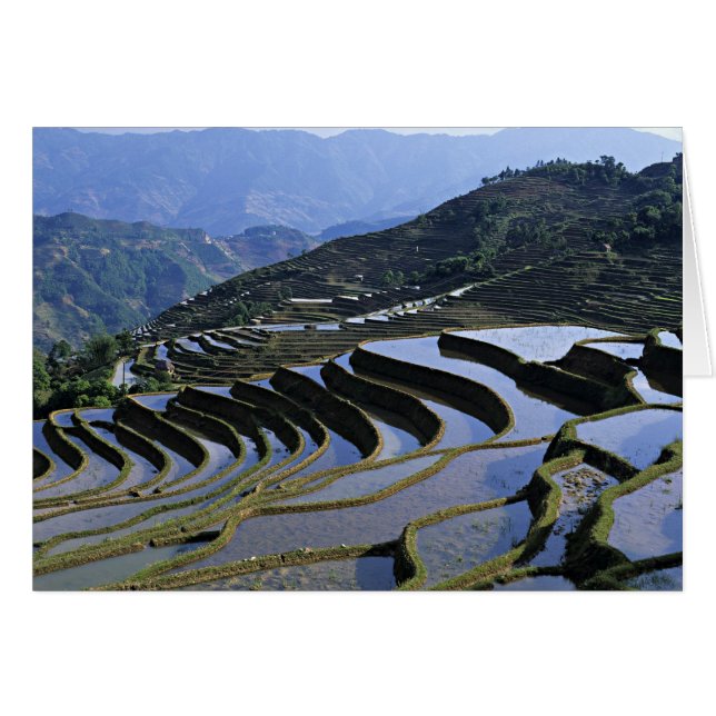 Asia, China, Yunnan, Yuanyang. Rugged (Front Horizontal)