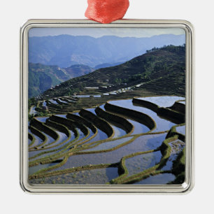 Asia, China, Yunnan, Yuanyang. Rugged Metal Ornament