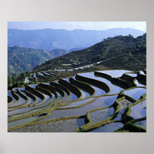 Asia, China, Yunnan, Yuanyang. Rugged Poster