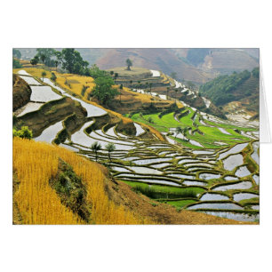 Asia, China, Yunnan, Yuxi Prefecture; Yuanjiang.