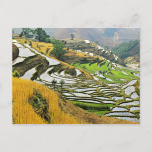 Asia, China, Yunnan, Yuxi Prefecture; Yuanjiang. Postcard