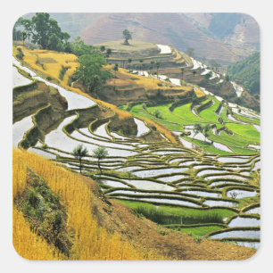 Asia, China, Yunnan, Yuxi Prefecture; Yuanjiang. Square Sticker