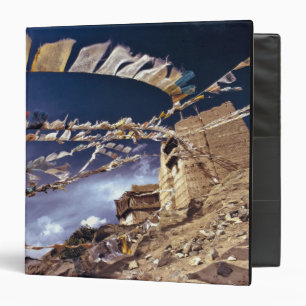 Asia, India, Ladakh, Leh. Known as Little Binder