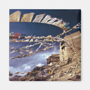 Asia, India, Ladakh, Leh. Known as Little Magnet