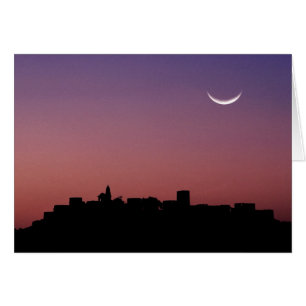 Asia, India, Rajasthan, Jaipur. A crescent