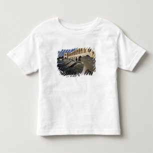 Asia, Iran, Isfahan. Pol-e Khaju Bridge. Toddler T-shirt