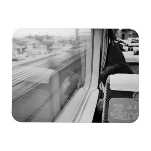 Asia, Japan. Aboard the Shinkansen Bullet Train Magnet