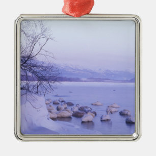 Asia, Japan, Hokkaido, Akan NP, Whopper Swans Metal Ornament