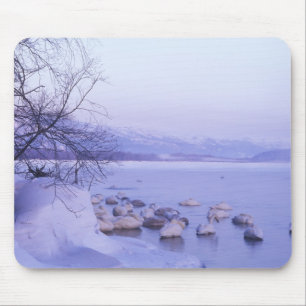 Asia, Japan, Hokkaido, Akan NP, Whopper Swans Mouse Pad