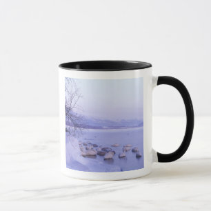 Asia, Japan, Hokkaido, Akan NP, Whopper Swans Mug