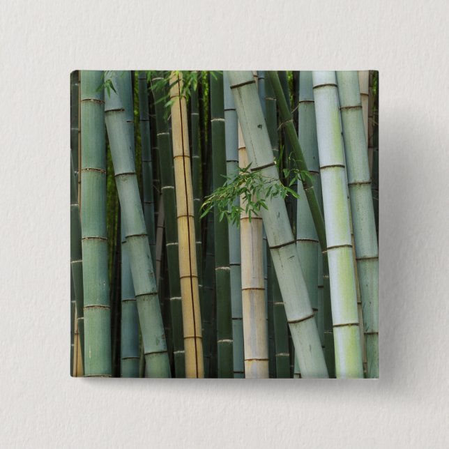 Asia, Japan, Kyoto, Arashiyama, Sagano, Bamboo 2 Inch Square Button (Front)