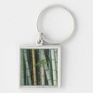 Asia, Japan, Kyoto, Arashiyama, Sagano, Bamboo Keychain