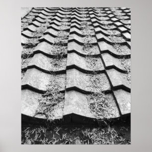 Asia, Japan, Miyajima. Clay roof detail Poster